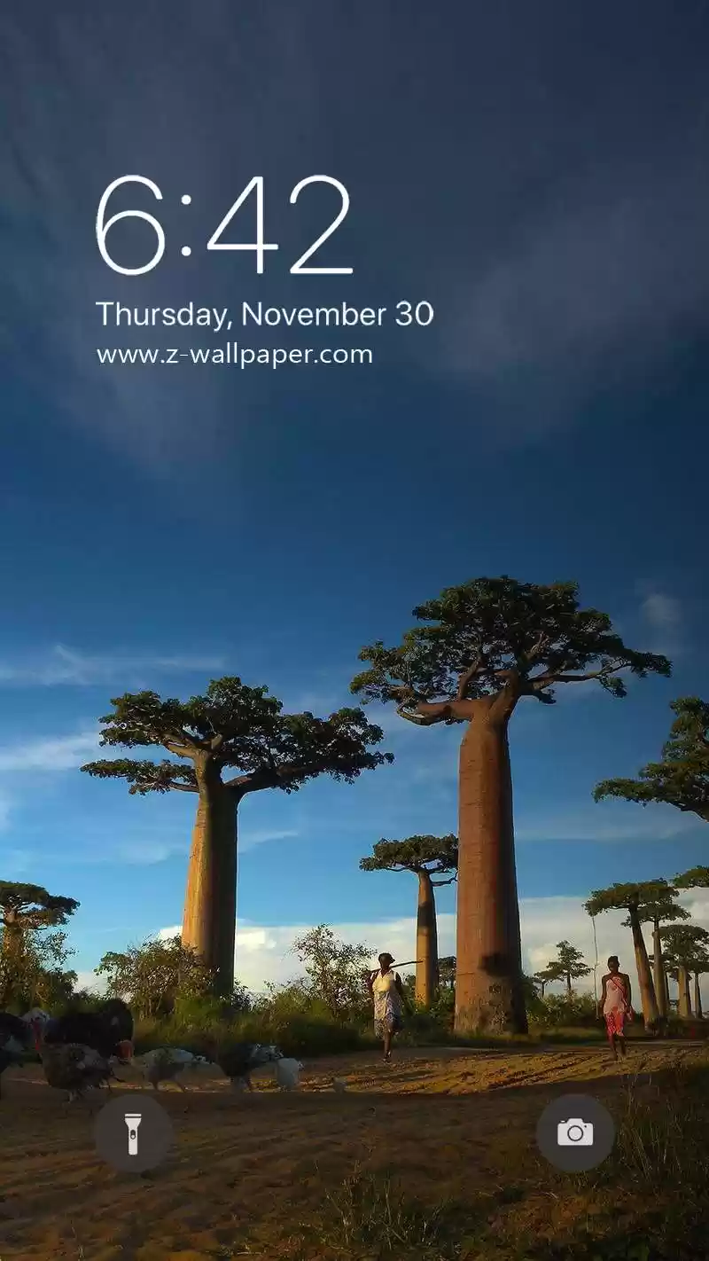 Madagascar Landscape Mobile Phone Wallpapers